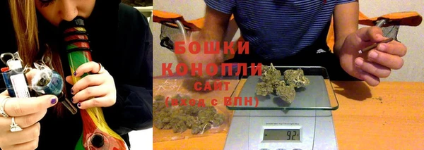 бошки Алексин
