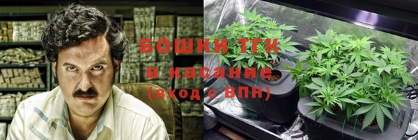 apvp Алзамай