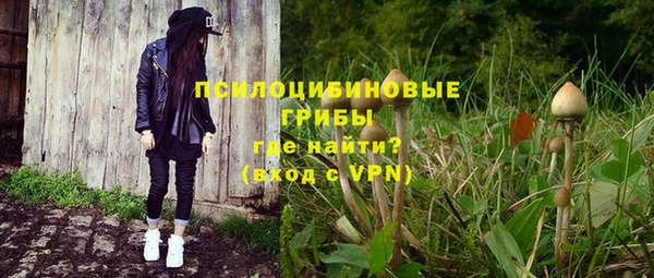 apvp Алзамай